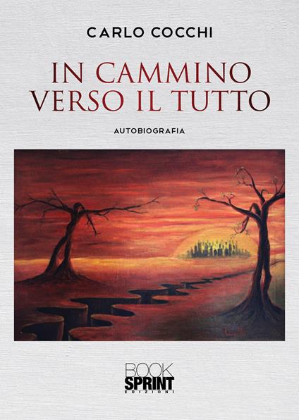 In cammino verso il tutto - Carlo Cocchi - copertina