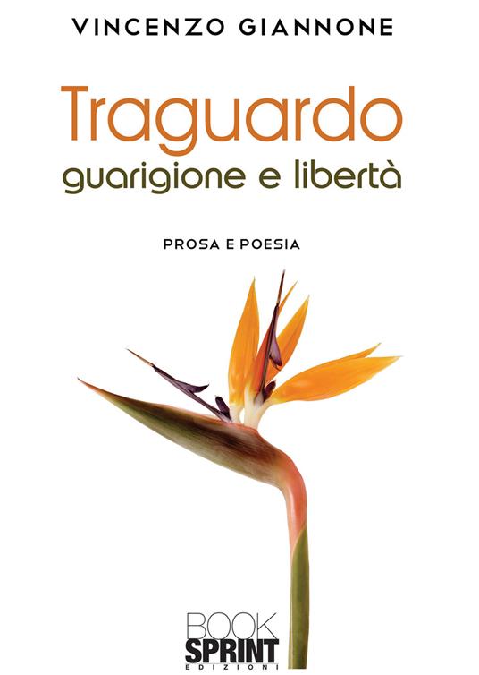 Traguardo guarigione e libertà - Vincenzo Giannone - copertina
