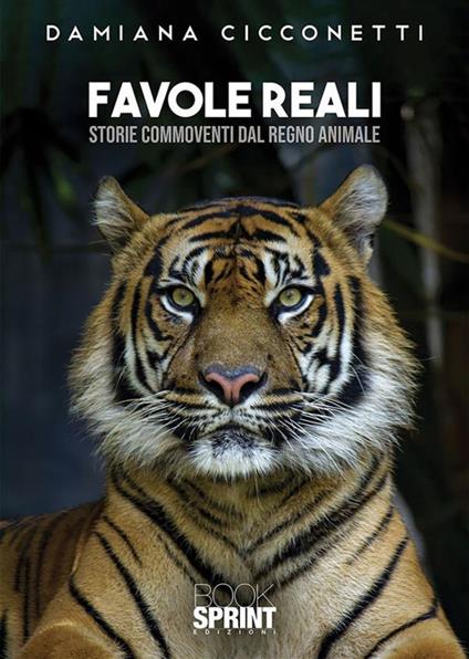Favole reali. Storie commoventi dal regno animale - Damiana Cicconetti - ebook
