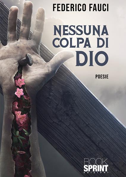 Nessuna colpa di Dio - Federico Fauci - copertina