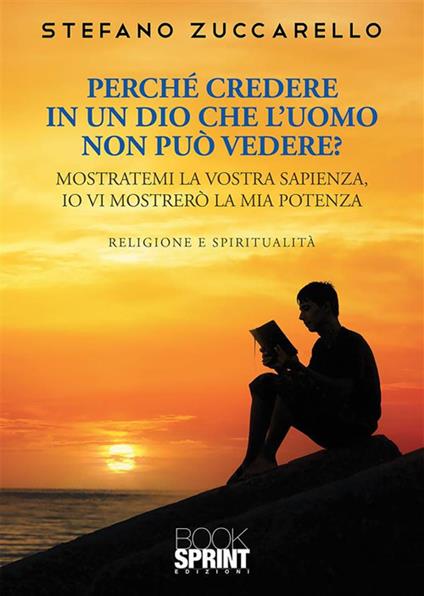 Perché credere in un Dio che l'uomo non può vedere? - Stefano Zuccarello - ebook