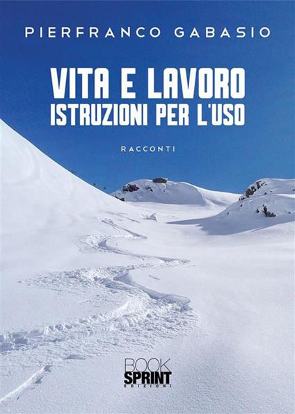 Vita e lavoro. Istruzioni per l'uso - Pierfranco Gabasio - ebook