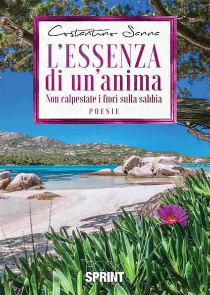 L essenza di un'anima - Costantino Sanna - ebook