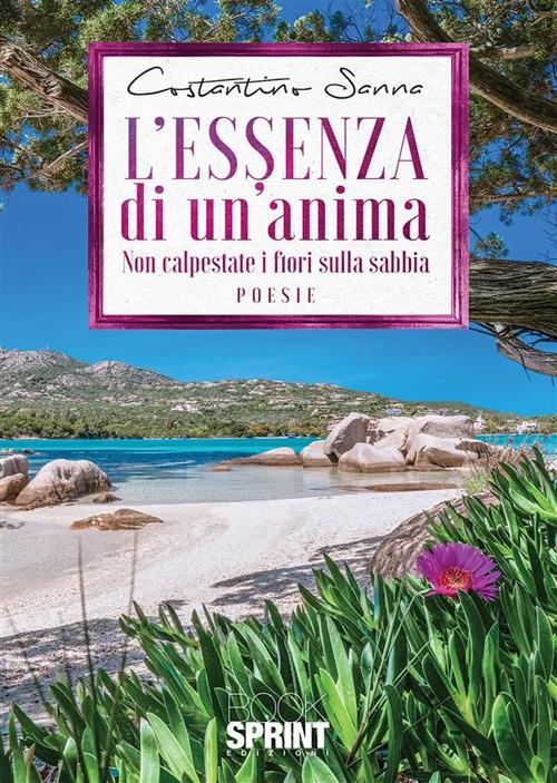 L essenza di un'anima - Costantino Sanna - ebook