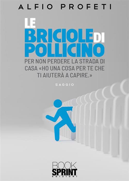 Le briciole di Pollicino. Per non perdere la strada di casa «ho una cosa per te che ti aiuterà a capire.» - Alfio Profeti - copertina