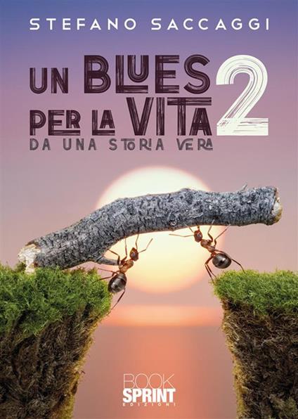Un blues per la vita. Da una storia vera. Vol. 2 - Stefano Saccaggi - copertina