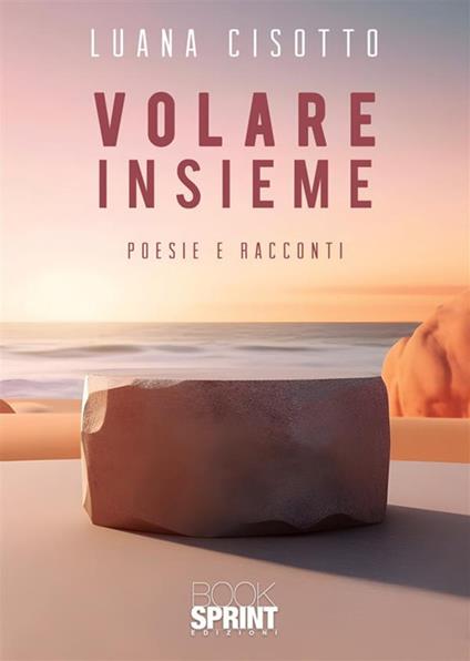 Volare insieme - Luana Cisotto - copertina