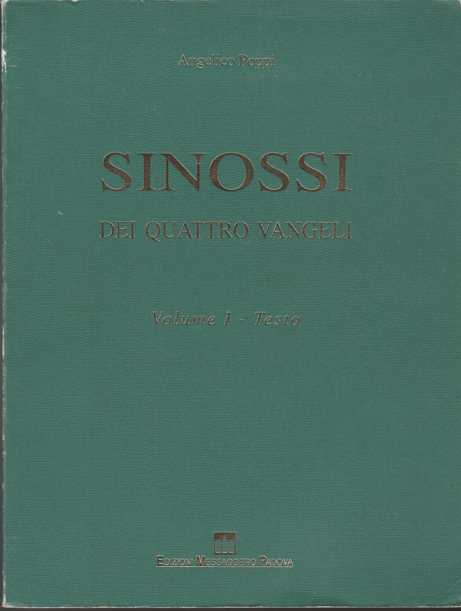 Sinossi dei quattro vangeli. Vol. 1: Testo
