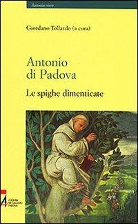 Antonio di Padova. Le spighe dimenticate - Giordano Tollardo - copertina