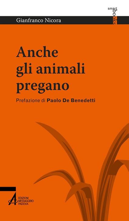 Anche gli animali pregano - Gianfranco Nicora - copertina