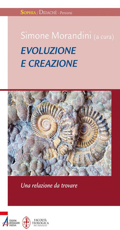 Evoluzione e creazione. Una relazione da ritrovare - Simone Morandini - ebook