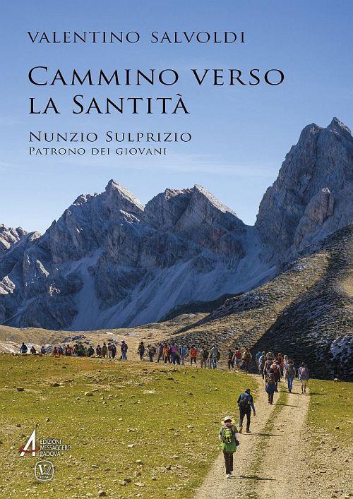 Cammino verso la santità. Nunzio Sulprizio, patrono dei giovani - Valentino Salvoldi - copertina