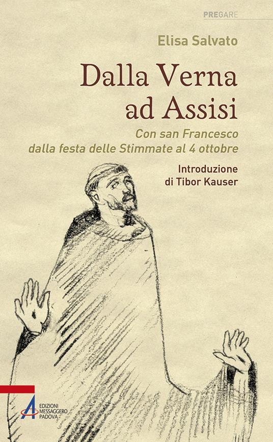 Dalla Verna ad Assisi. Con san Francesco dalla festa delle Stimmate al 4 ottobre. Ediz. illustrata - Elisa Salvato - copertina