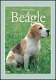 Il beagle - Massimo Scheggi - copertina