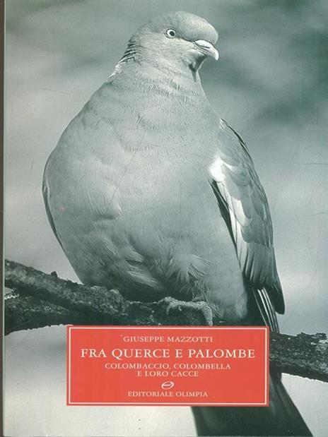 Fra querce e palombe. Colombaccio, colombella e loro cacce - Giuseppe Mazzotti - copertina