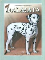 Il dalmata