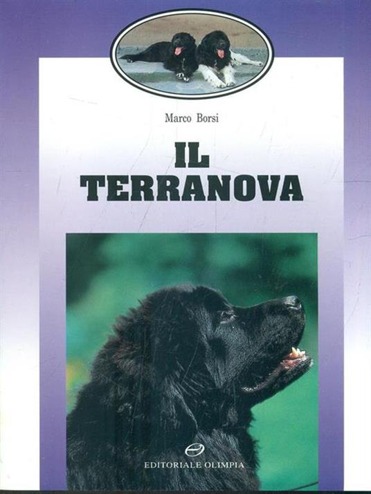 Il terranova - Marco Borsi - copertina