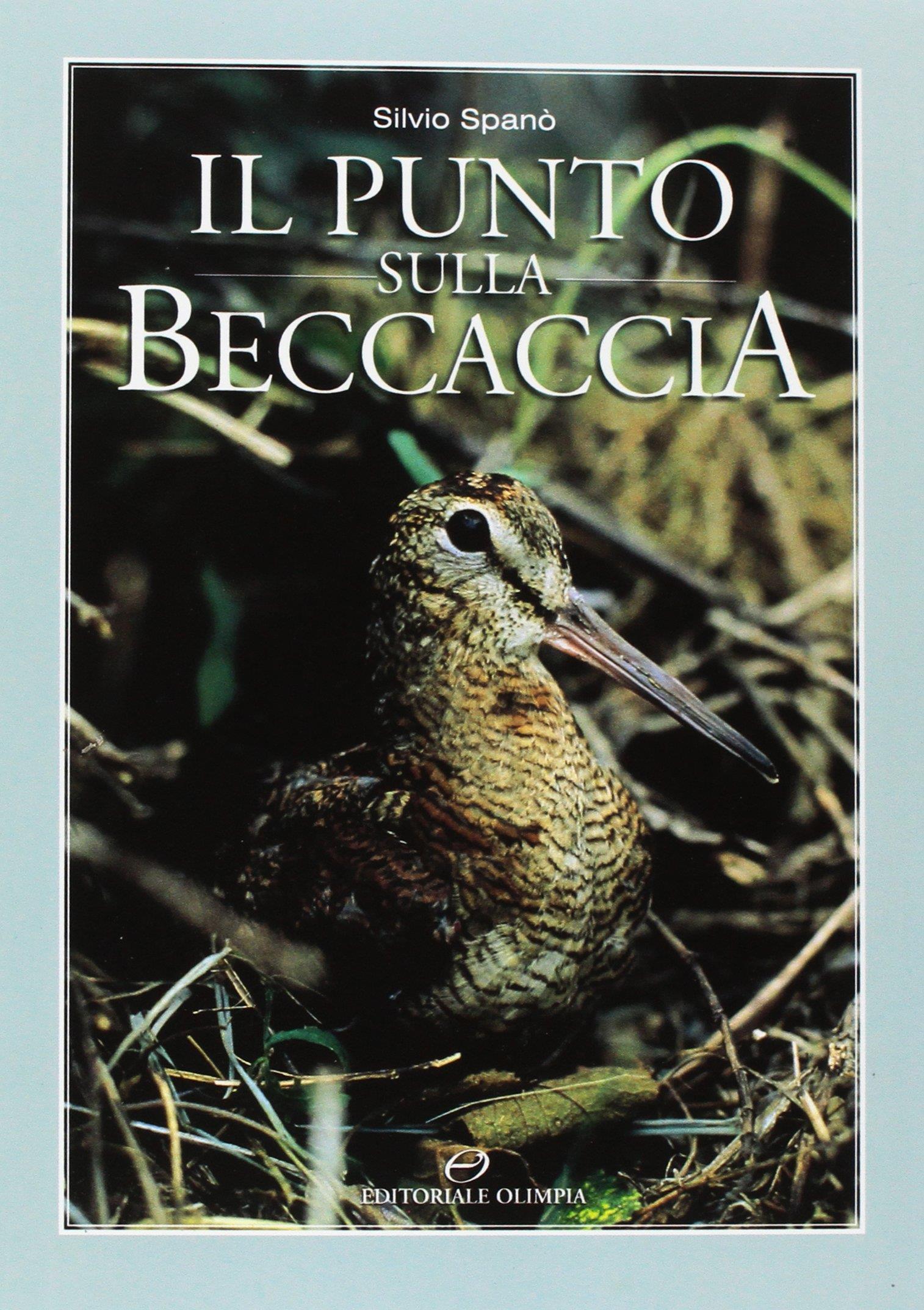 Il punto sulla beccaccia