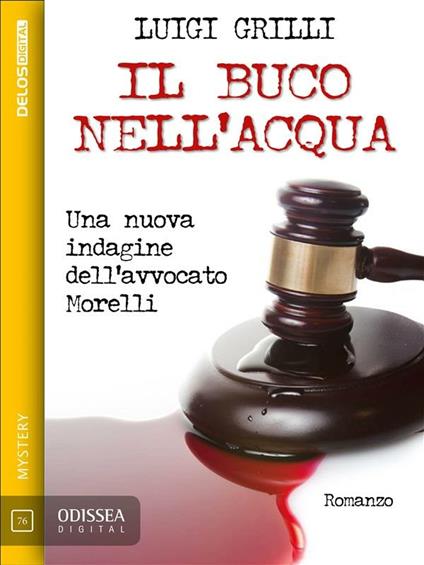 Il buco nell'acqua - Luigi Grilli - ebook