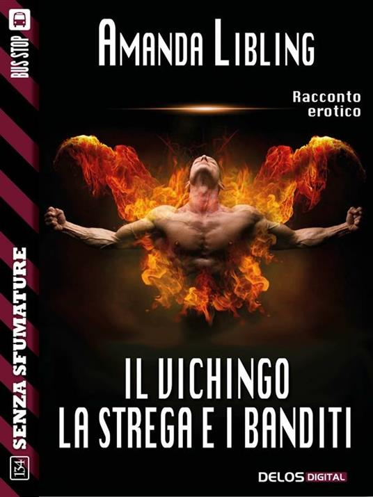 Il vichingo, la strega e i banditi - Amanda Libling - ebook