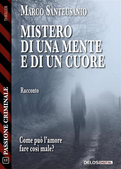 Mistero di una mente e di un cuore - Marco Santeusanio - ebook