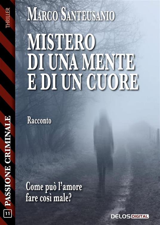 Mistero di una mente e di un cuore - Marco Santeusanio - ebook