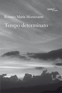 Nocilli distribuzione libri