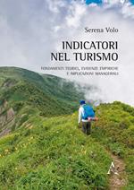 Indicatori nel turismo. Fondamenti teorici, evidenze empiriche e implicazioni manageriali