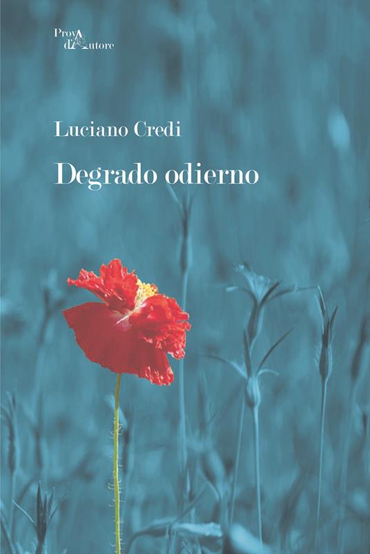 Degrado odierno - Luciano Credi - copertina