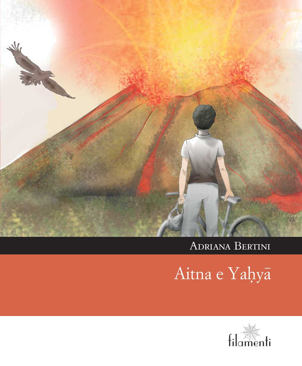 Nocilli distribuzione libri