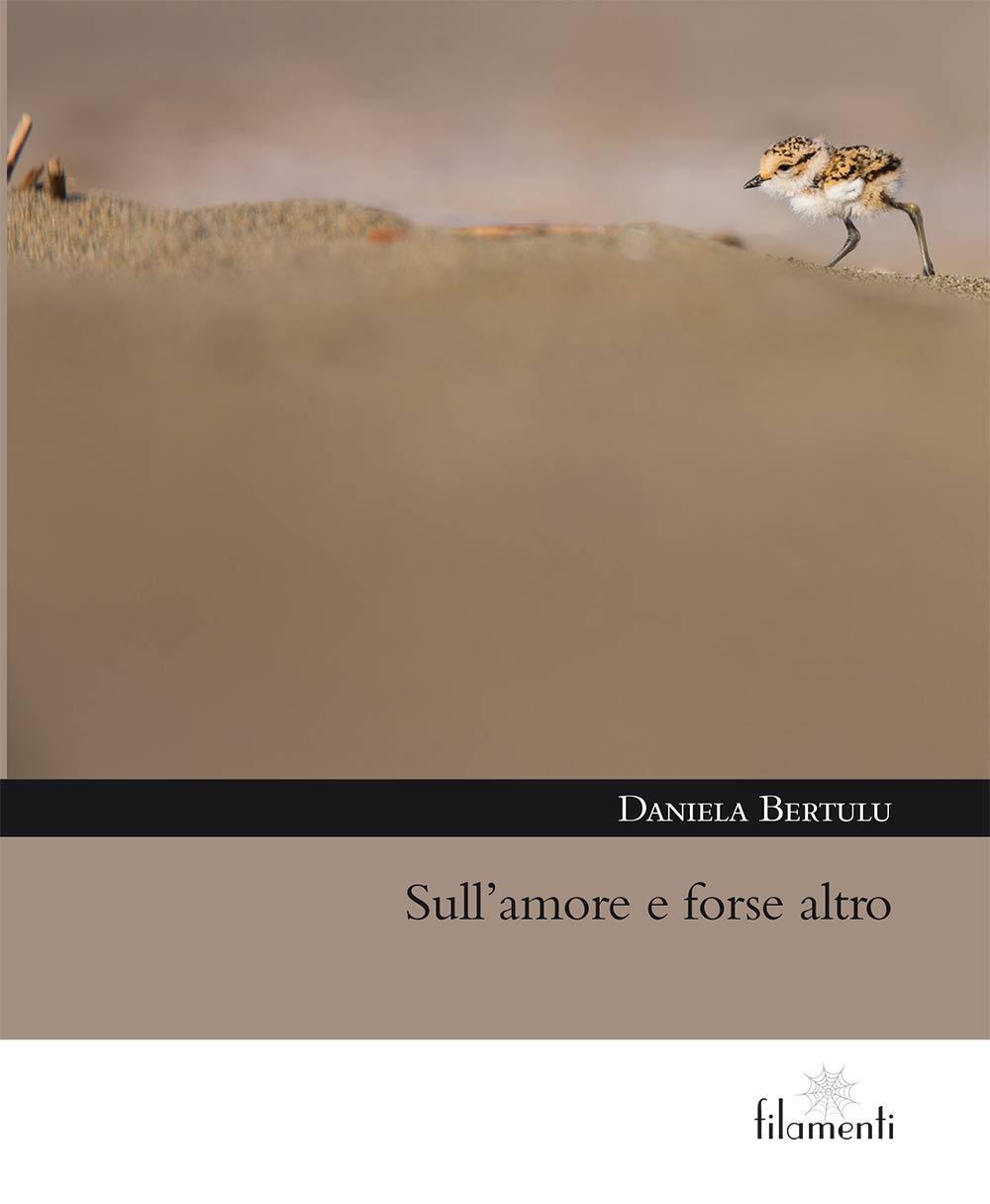 Nocilli distribuzione libri