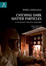 Catching Dark Matter Particles in the Galactic Halo with DAMA/LIBRA