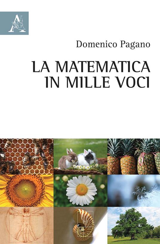 La matematica in mille voci - Domenico Pagano - copertina