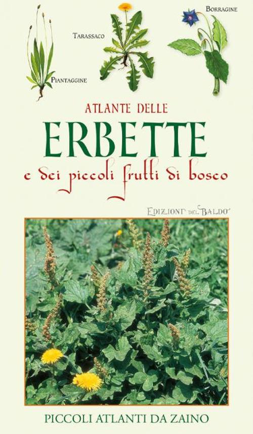 Atlante delle erbette e dei piccoli frutti di bosco - Paola Mancini - copertina