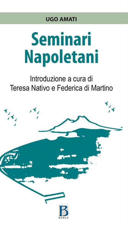 Seminari napoletani - Ugo Amati - copertina