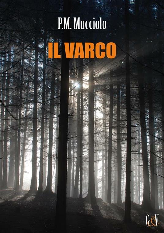 Il varco - P. M. Mucciolo - ebook