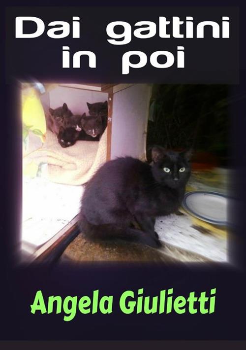 Dai gattini in poi - Angela Giulietti - copertina