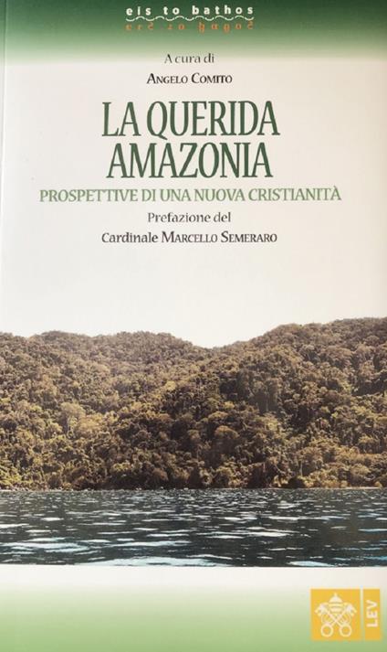 La Querida Amazonia. Prospettive di una nuova Cristianità - copertina