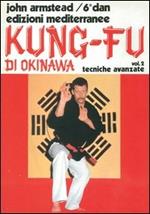Kung fu. Vol. 2: Tecniche avanzate.