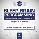 SBP. Sleep Brain Programming