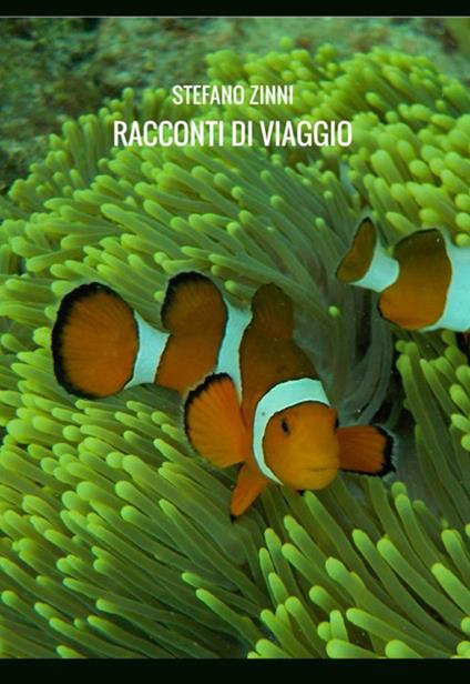 Racconti di viaggio - Stefano Zinni - copertina