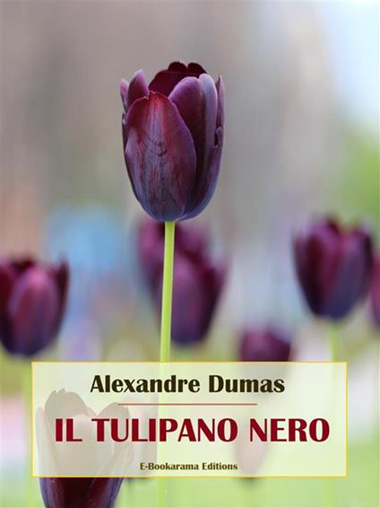 Il tulipano nero - Alexandre Dumas - ebook