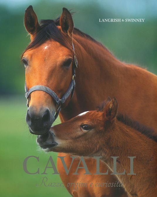 Cavalli. Razze, origini e curiosità - Nicola Jane Swinney - copertina