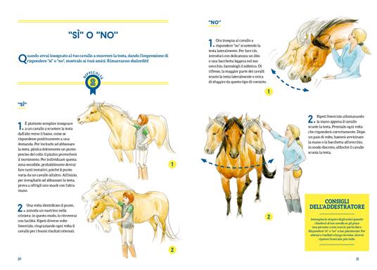 50 giochi e attività per educare il tuo cavallo. Ediz. a colori - Claude Lux - 3