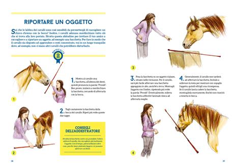 50 giochi e attività per educare il tuo cavallo. Ediz. a colori - Claude Lux - 4