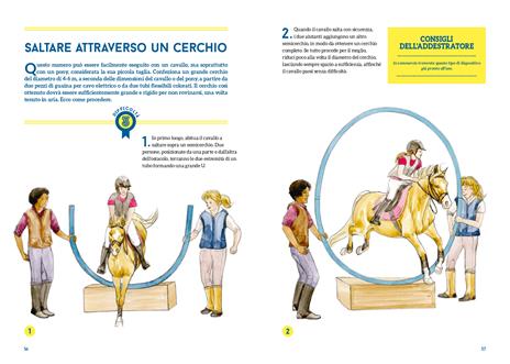 50 giochi e attività per educare il tuo cavallo. Ediz. a colori - Claude Lux - 5