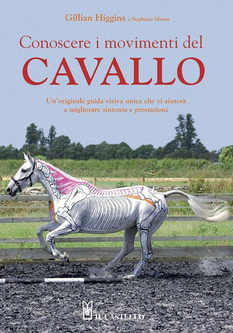 Conoscere i movimenti del cavallo - Gillian Higgins,Stephanie Martin - copertina