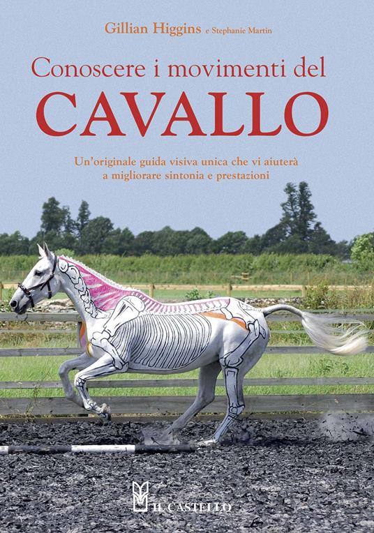 Conoscere i movimenti del cavallo - Gillian Higgins,Stephanie Martin - copertina