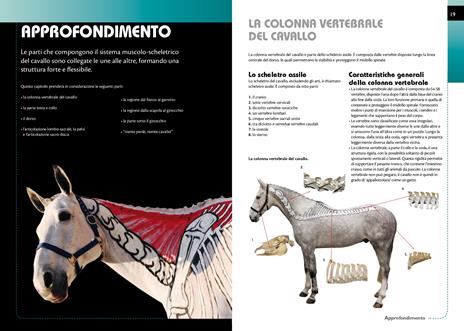 Conoscere i movimenti del cavallo - Gillian Higgins,Stephanie Martin - 3