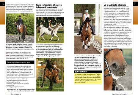 Conoscere i movimenti del cavallo - Gillian Higgins,Stephanie Martin - 6